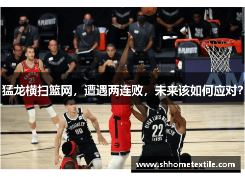 猛龙横扫篮网，遭遇两连败，未来该如何应对？
