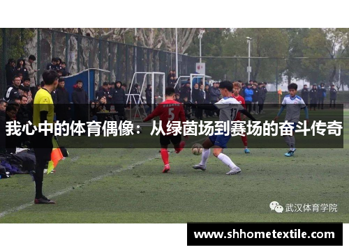 我心中的体育偶像：从绿茵场到赛场的奋斗传奇