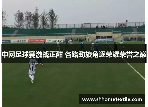 中网足球赛激战正酣 各路劲旅角逐荣耀荣誉之巅