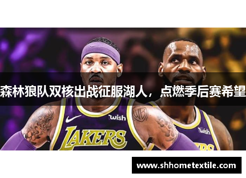森林狼队双核出战征服湖人，点燃季后赛希望