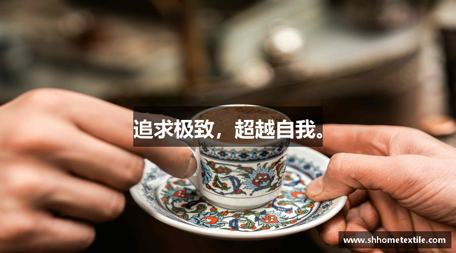 追求极致，超越自我。